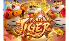 Fortune Tiger