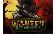 Wanted Dead or a Wild
